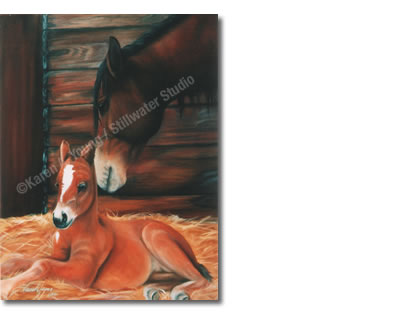 Chance of a Lifetime